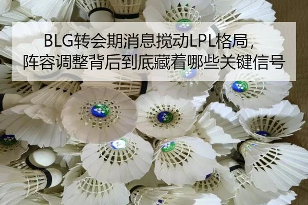 BLG转会期消息搅动LPL格局，阵容调整背后到底藏着哪些关键信号（oubo）